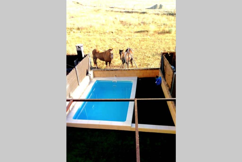 La Espiga De La Mata Villa Segovia Dış mekan fotoğraf